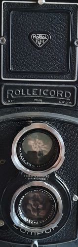 rollei